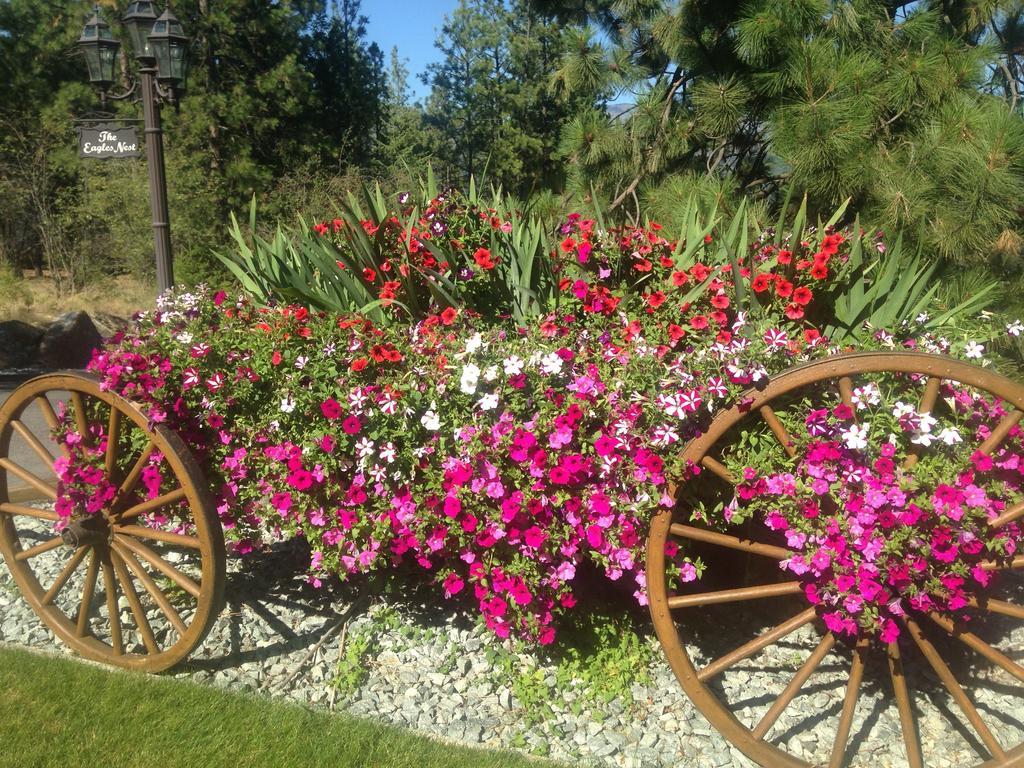 Eagle'S Nest B&B Lake Country Exterior foto